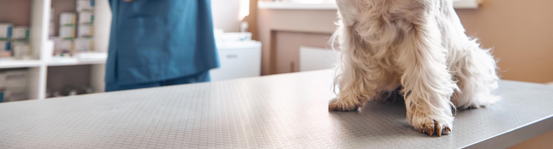 Veterinary Table